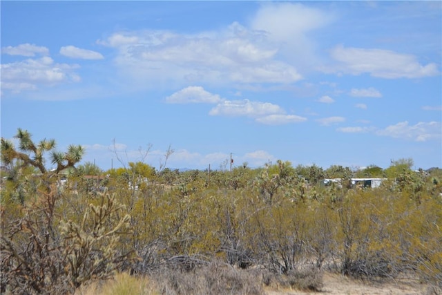 11964 S Carrow Rd, Yucca, AZ 86438