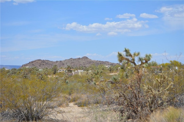 11964 S Carrow Rd, Yucca, AZ 86438