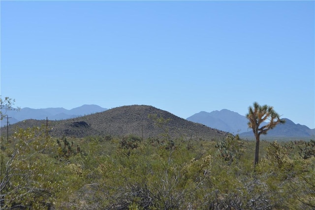 11964 S Carrow Rd, Yucca, AZ 86438