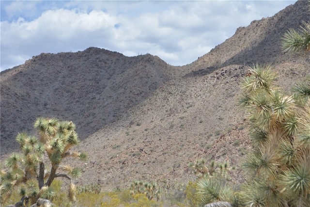 11964 S Carrow Rd, Yucca, AZ 86438