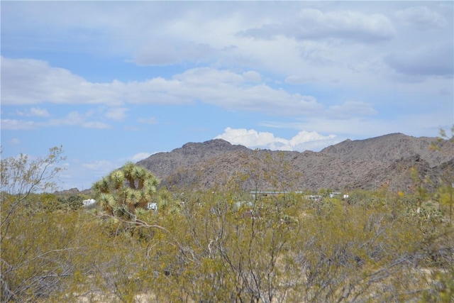 11964 S Carrow Rd, Yucca, AZ 86438