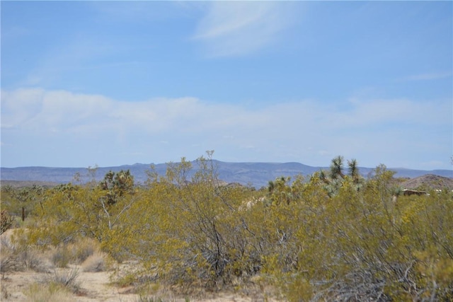 11964 S Carrow Rd, Yucca, AZ 86438