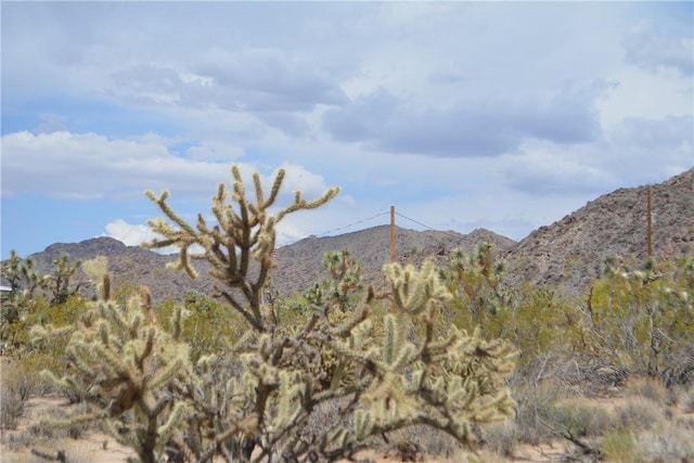 11964 S Carrow Rd, Yucca, AZ 86438