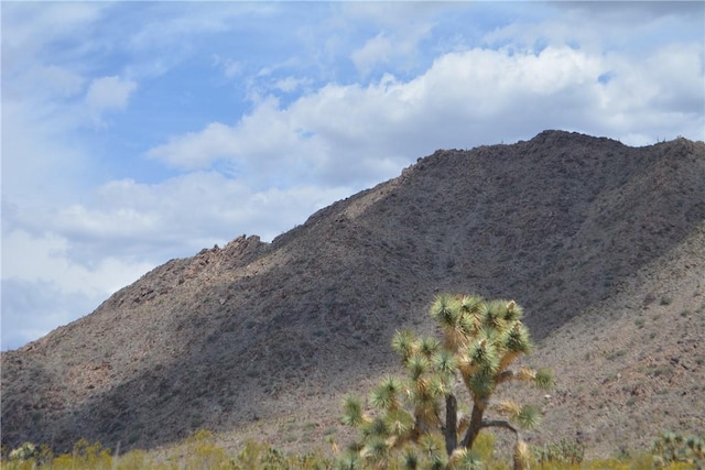 11964 S Carrow Rd, Yucca, AZ 86438