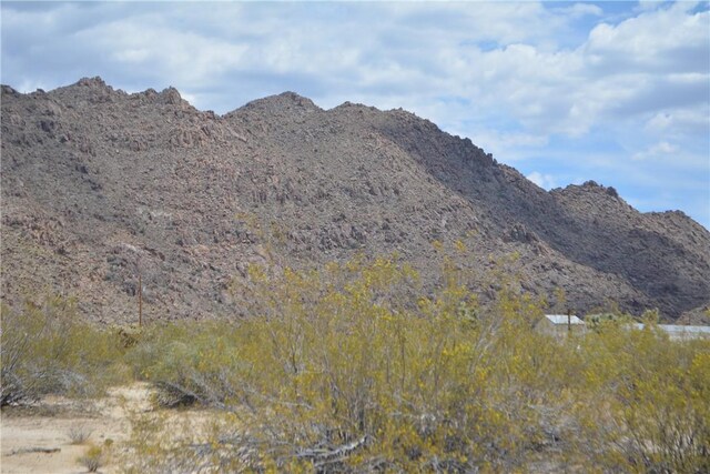 11964 S Carrow Rd, Yucca, AZ 86438