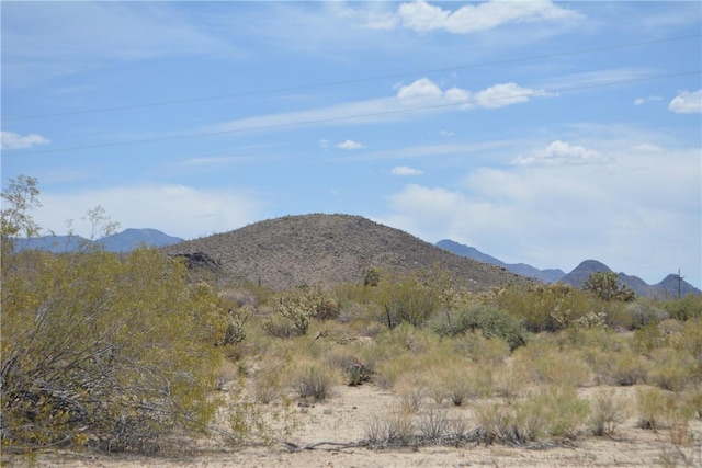 11964 S Carrow Rd, Yucca, AZ 86438