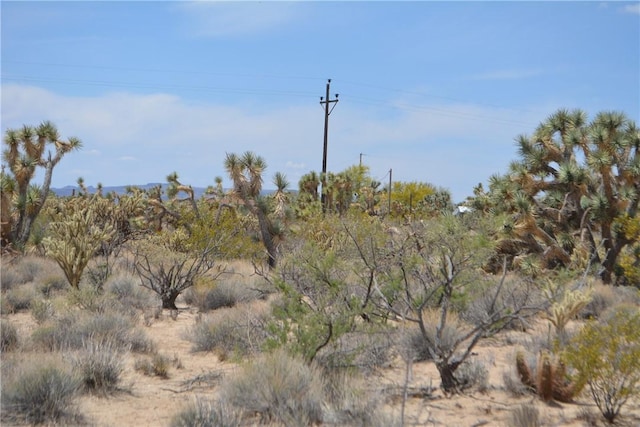 11964 S Carrow Rd, Yucca, AZ 86438