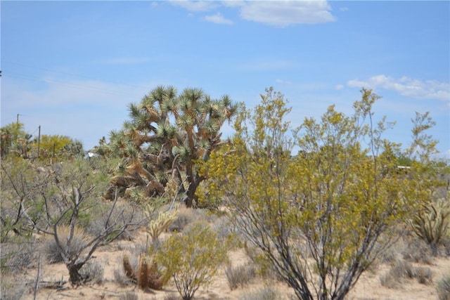 11964 S Carrow Rd, Yucca, AZ 86438