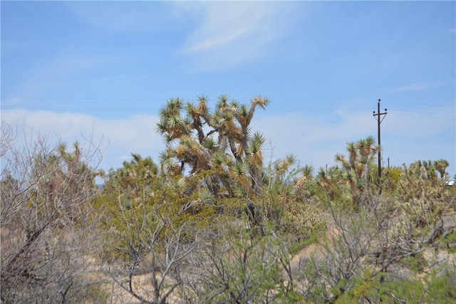 11964 S Carrow Rd, Yucca, AZ 86438