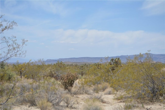 11964 S Carrow Rd, Yucca, AZ 86438
