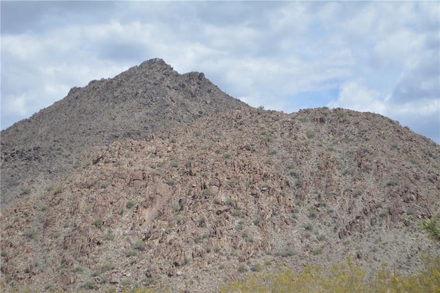 11964 S Carrow Rd, Yucca, AZ 86438