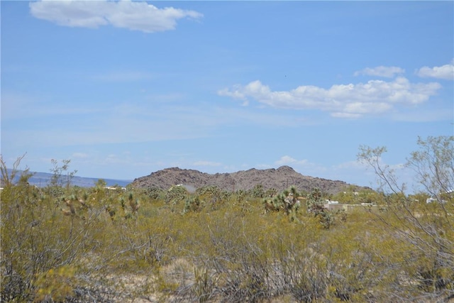 11964 S Carrow Rd, Yucca, AZ 86438