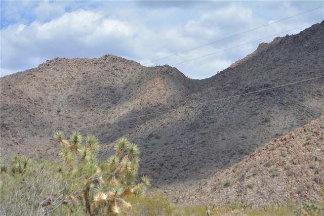 11964 S Carrow Rd, Yucca, AZ 86438