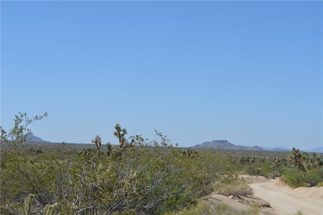 11964 S Carrow Rd, Yucca, AZ 86438