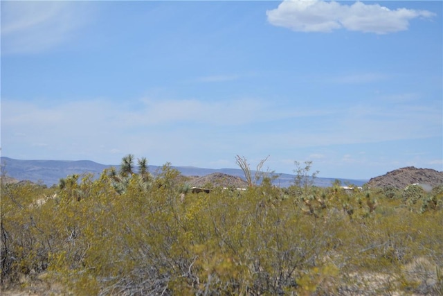 11964 S Carrow Rd, Yucca, AZ 86438