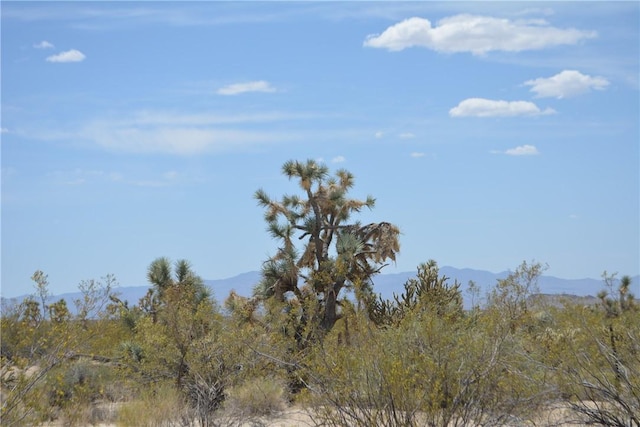11964 S Carrow Rd, Yucca, AZ 86438