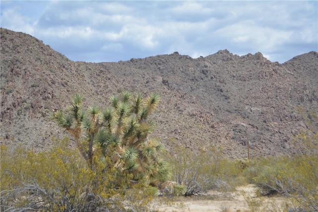 11964 S Carrow Rd, Yucca, AZ 86438