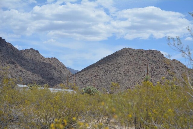 11964 S Carrow Rd, Yucca, AZ 86438