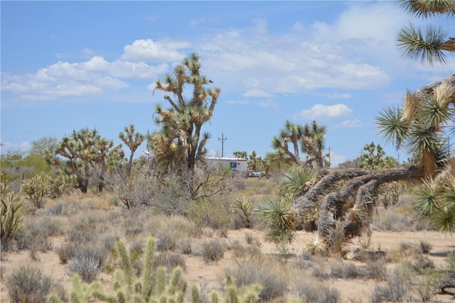 11964 S Carrow Rd, Yucca, AZ 86438