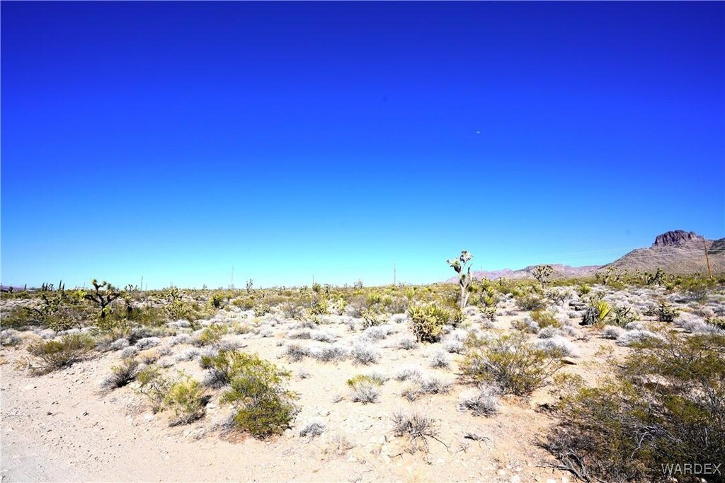 319-13-233 N Lariat Dr, Dolan Springs, AZ 86441