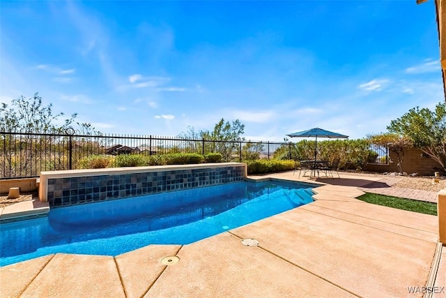 view of swimming pool featuring a patio, a fenced backyard, and a fenced in pool