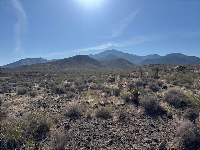 13 Magnolia Dr Unit 13, Dolan Springs, AZ 86441