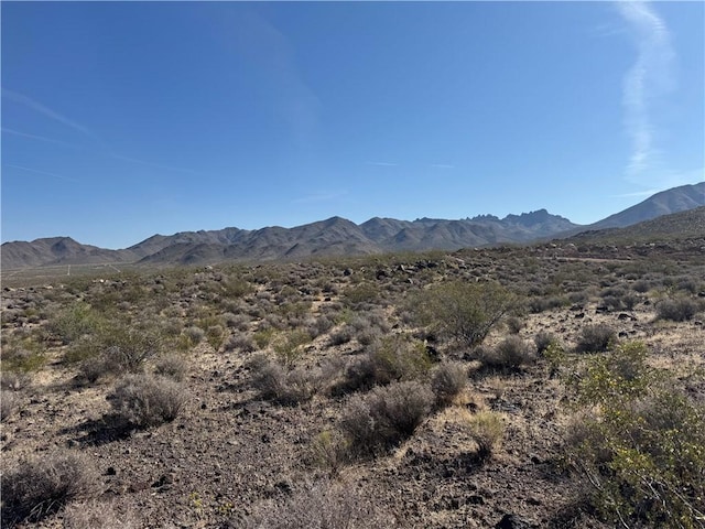 13 Magnolia Dr Unit 13, Dolan Springs, AZ 86441