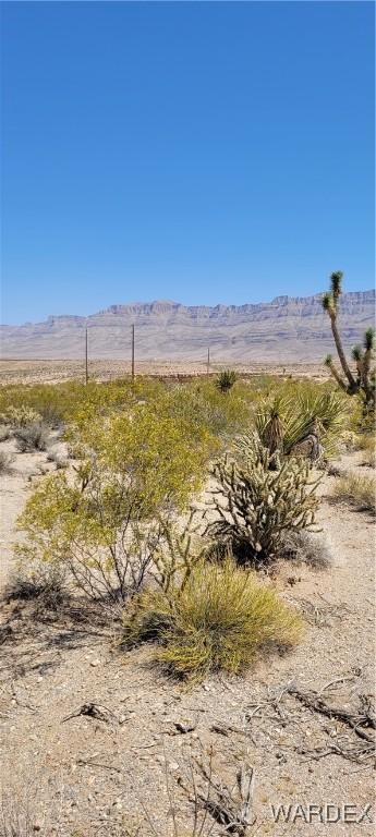 1205 Spencer Dr, Meadview, AZ 86444