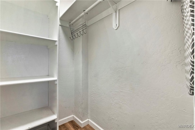 walk in closet featuring wood finished floors