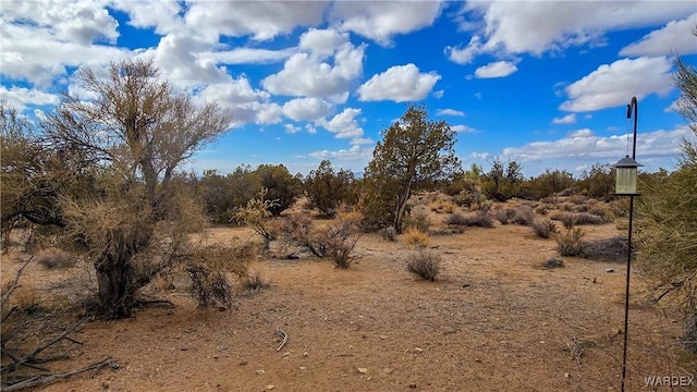 view of landscape