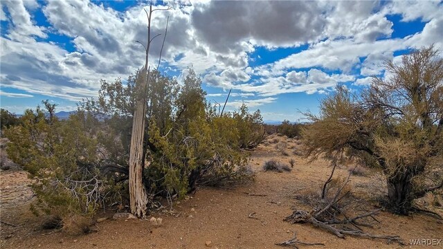 view of local wilderness