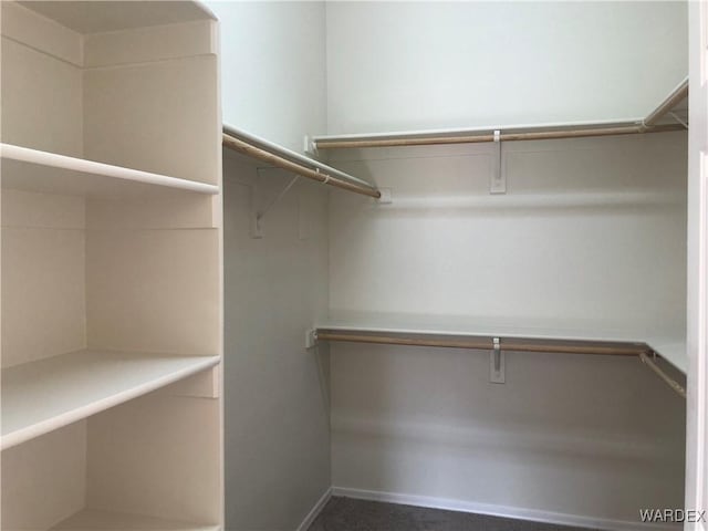 view of spacious closet