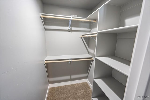 spacious closet featuring carpet flooring