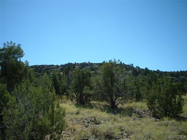 Listing photo 3 for UNK S Knight Creek Rd, Kingman AZ 86402