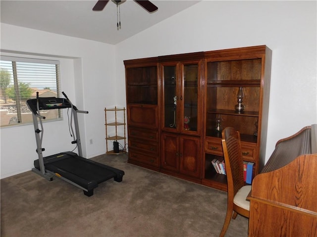 3331 Park Ridge Ave, Bullhead City, AZ 86429 - photo 30