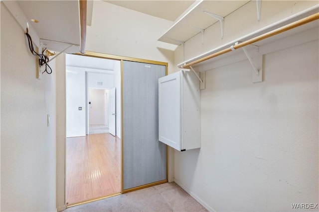 spacious closet with light carpet