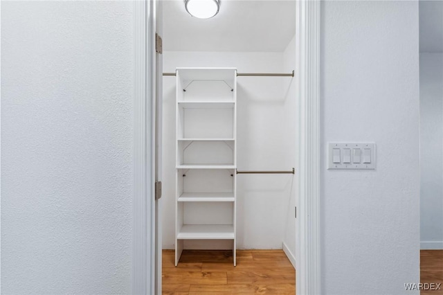 spacious closet with light wood-style flooring