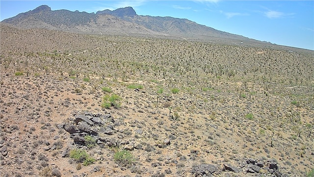 3LOTS N Red Lake Dr, Dolan Springs, AZ 86441 - photo 15