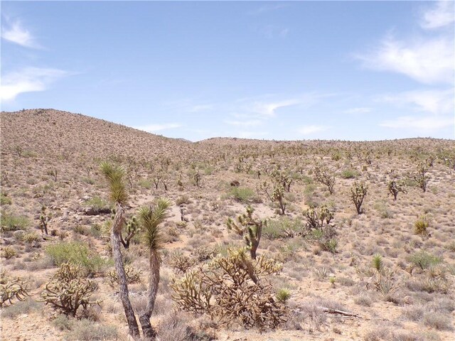 3LOTS N Red Lake Dr, Dolan Springs, AZ 86441 - photo 9