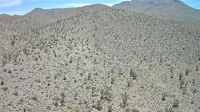 3LOTS N Red Lake Dr, Dolan Springs, AZ 86441 - photo 14
