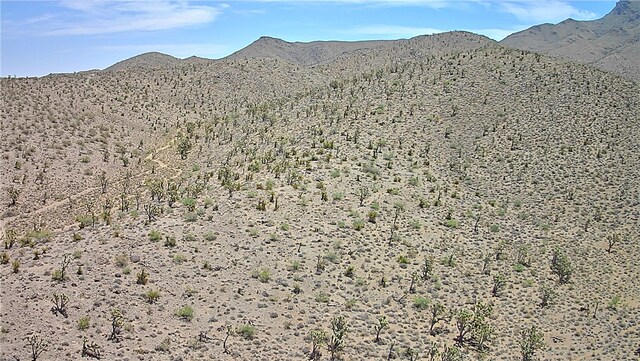 3LOTS N Red Lake Dr, Dolan Springs, AZ 86441 - photo 13
