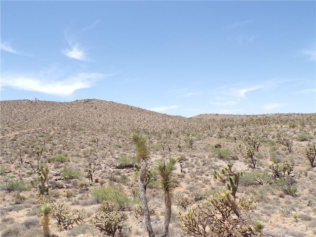 3LOTS N Red Lake Dr, Dolan Springs, AZ 86441 - photo 2