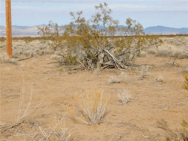 LOT52-B W Bolsa Dr, Golden Valley, AZ 86413 - photo 4