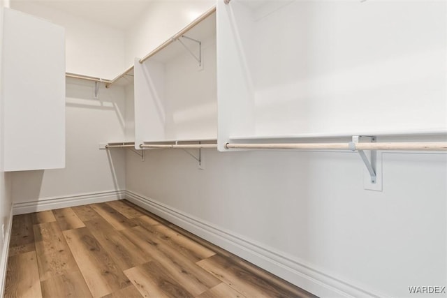 walk in closet with wood finished floors