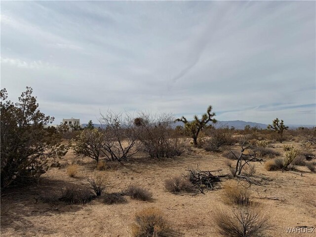 Parcel2559 Diamondback, Yucca, AZ 86438 - photo 8