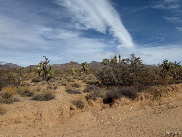 Parcel2559 Diamondback, Yucca, AZ 86438 - photo 1