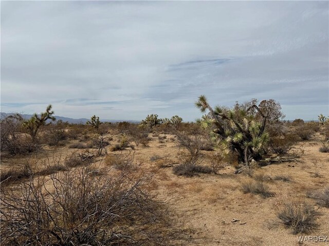 Parcel2559 Diamondback, Yucca, AZ 86438 - photo 6