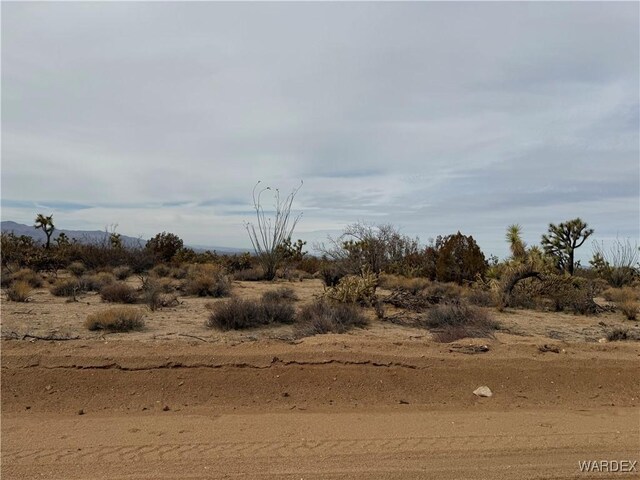 Parcel2559 Diamondback, Yucca, AZ 86438 - photo 12