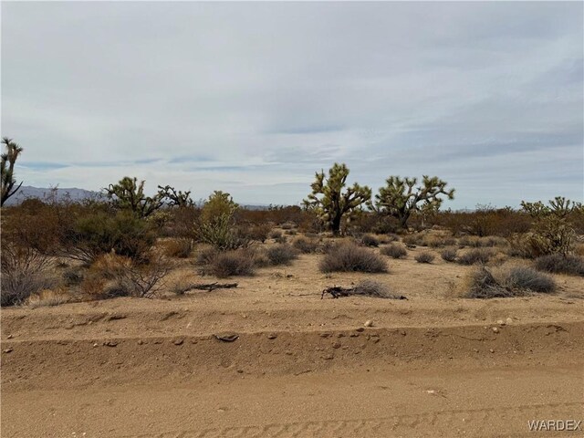 Parcel2559 Diamondback, Yucca, AZ 86438 - photo 13