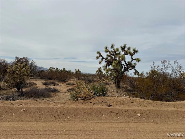 Parcel2559 Diamondback, Yucca, AZ 86438 - photo 11